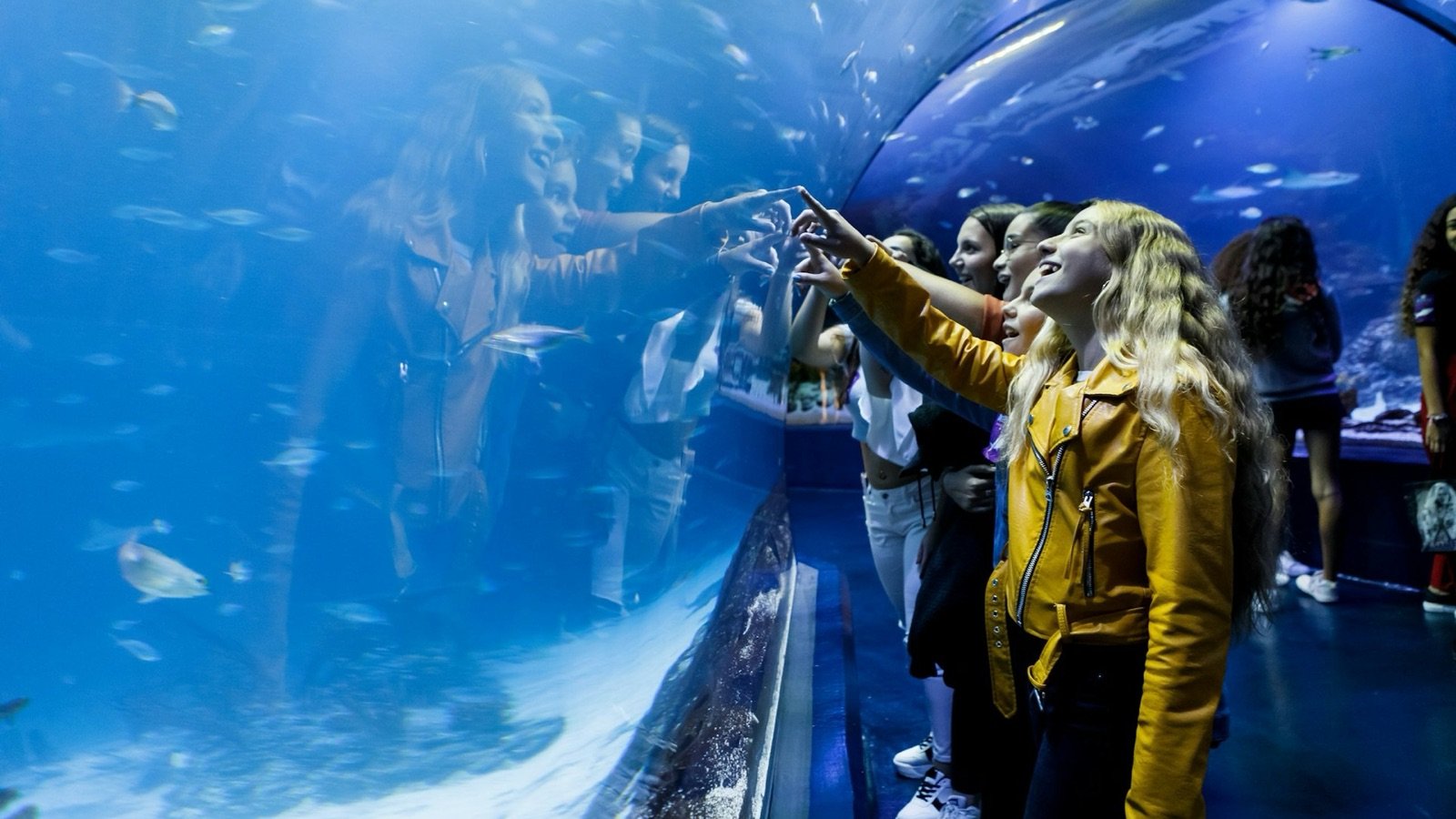 Shark tank at Atlantis Aquarium Madrid