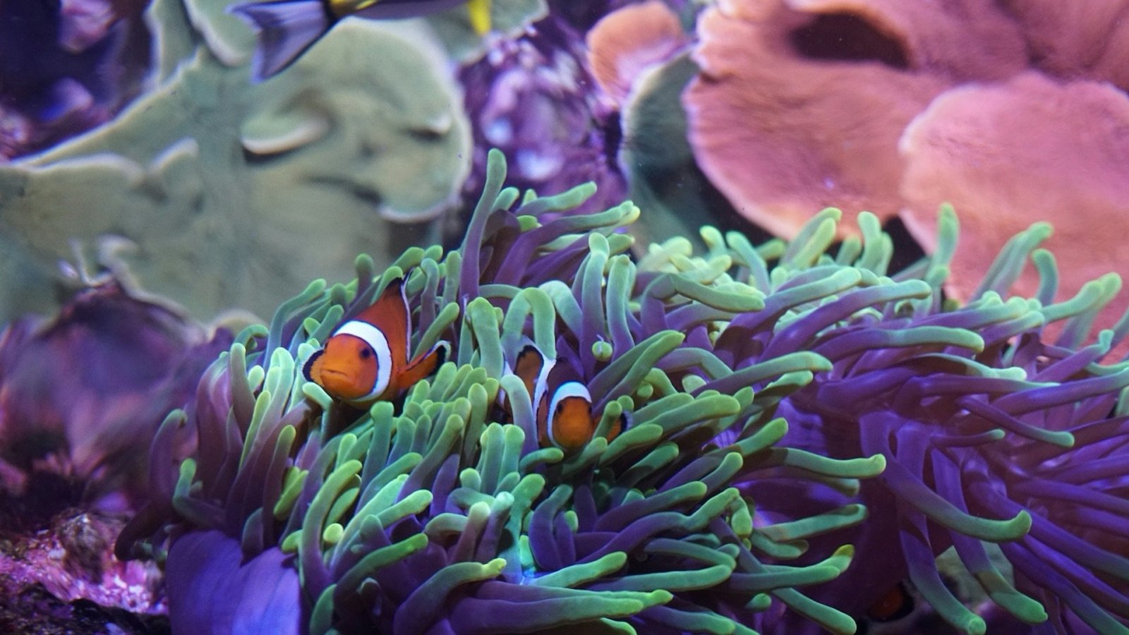 Magellan expedition themed exhibits and river habitats at Seville Aquarium