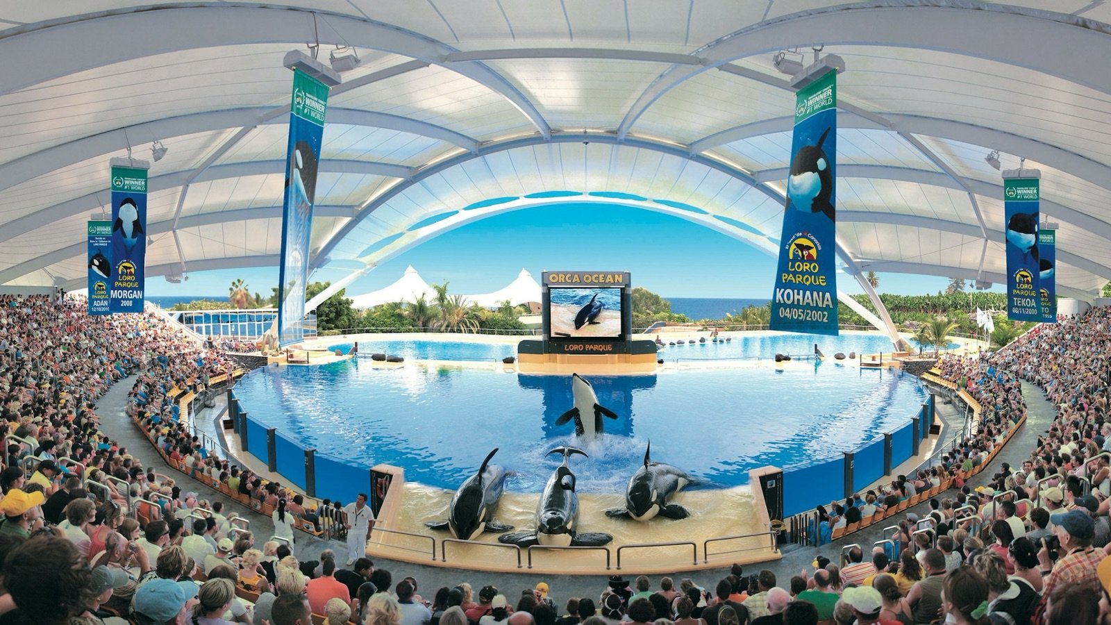 Penguins in the Planet Penguin habitat