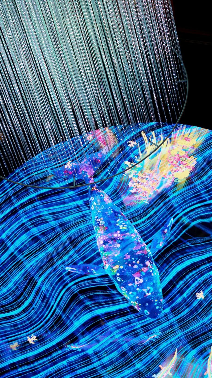 Digital Light Canvas interactive floor