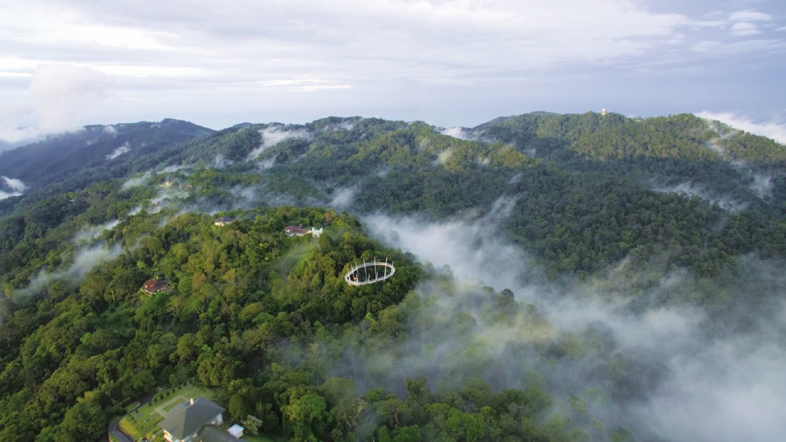 Tropical rainforest flora and fauna in Penang Hill Biosphere Reserve
