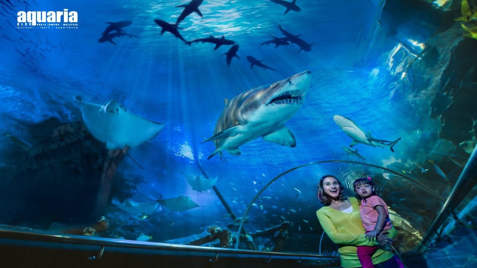 Aquaria KLCC oceanarium exhibits in Kuala Lumpur