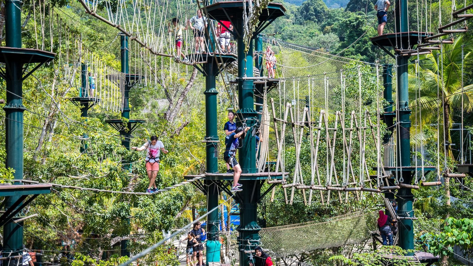 Climbing wall with jungle theme