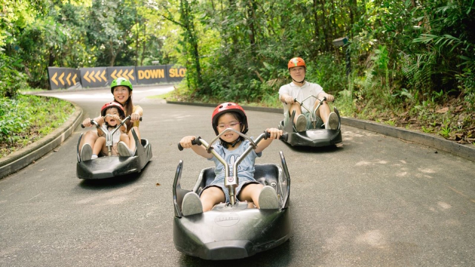 Three-wheeled luge carts descending the gravity-fuelled tracks