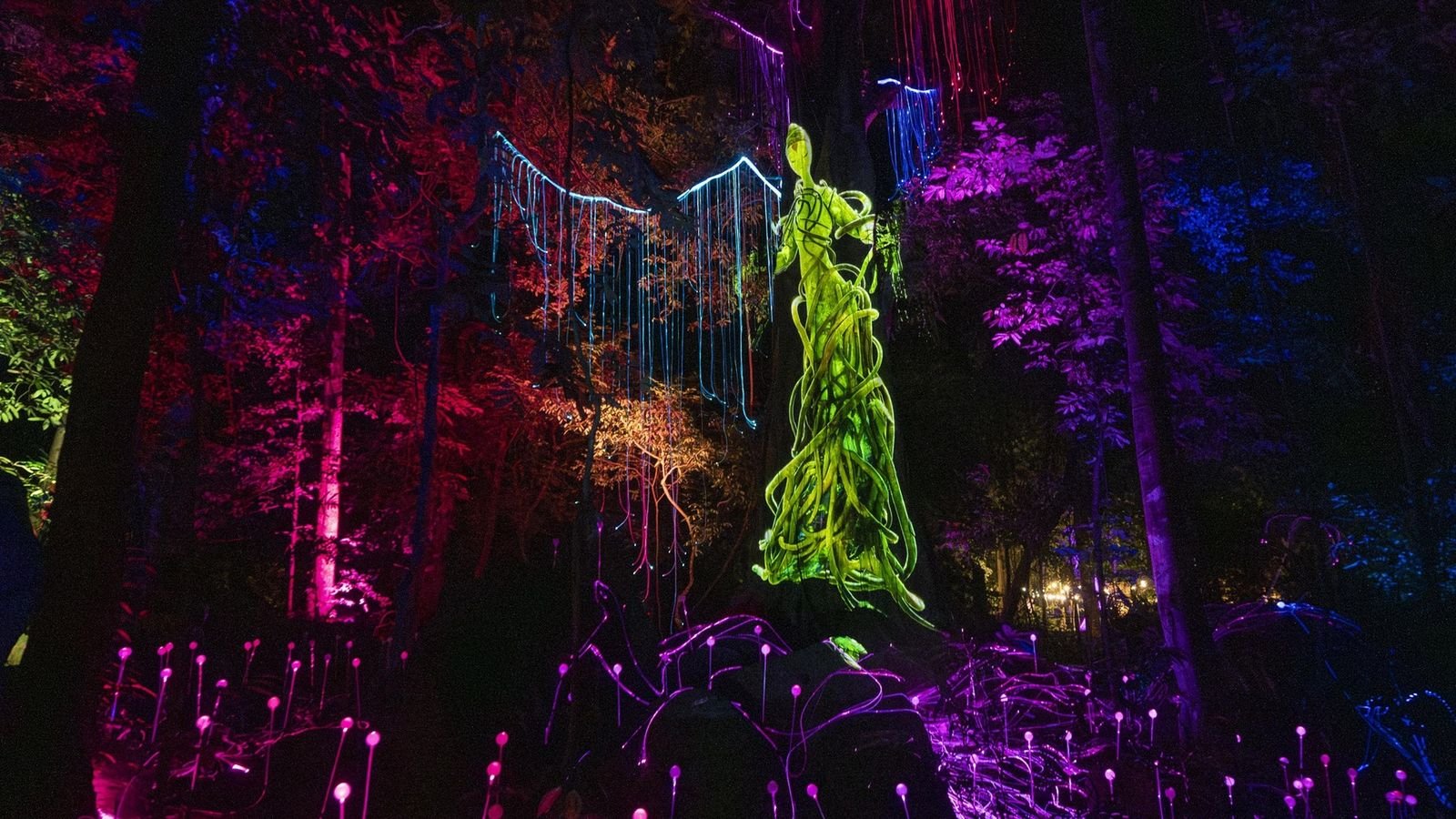 Dream Forest Langkawi entrance at night
