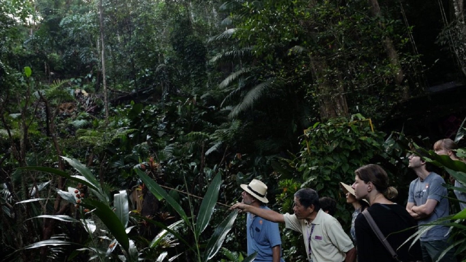 Spice Terraces showcasing tropical herbs and spices
