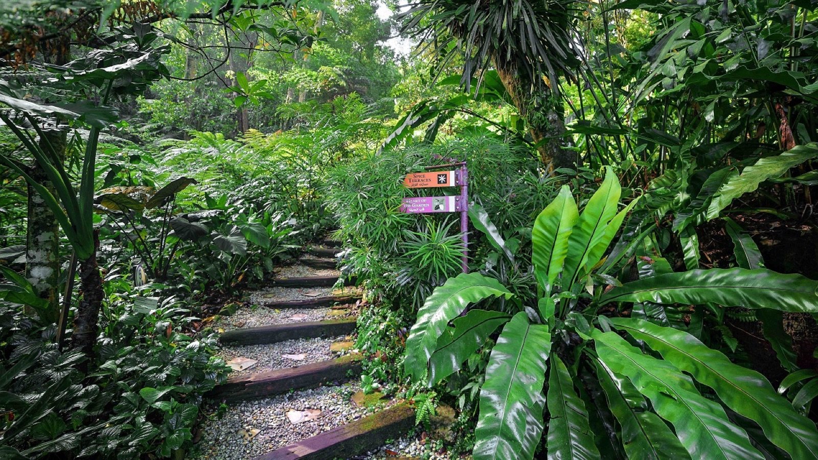 Poison Garden educational trail in George Town