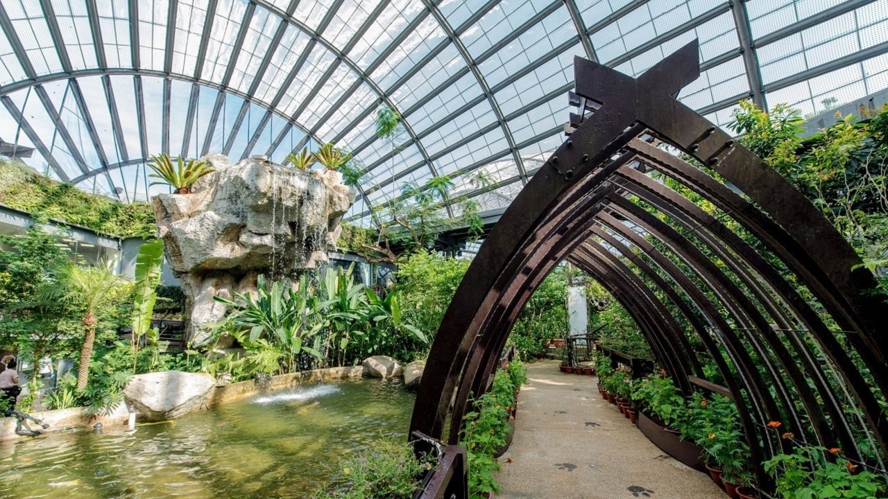 Entopia by Penang Butterfly Farm Ticket