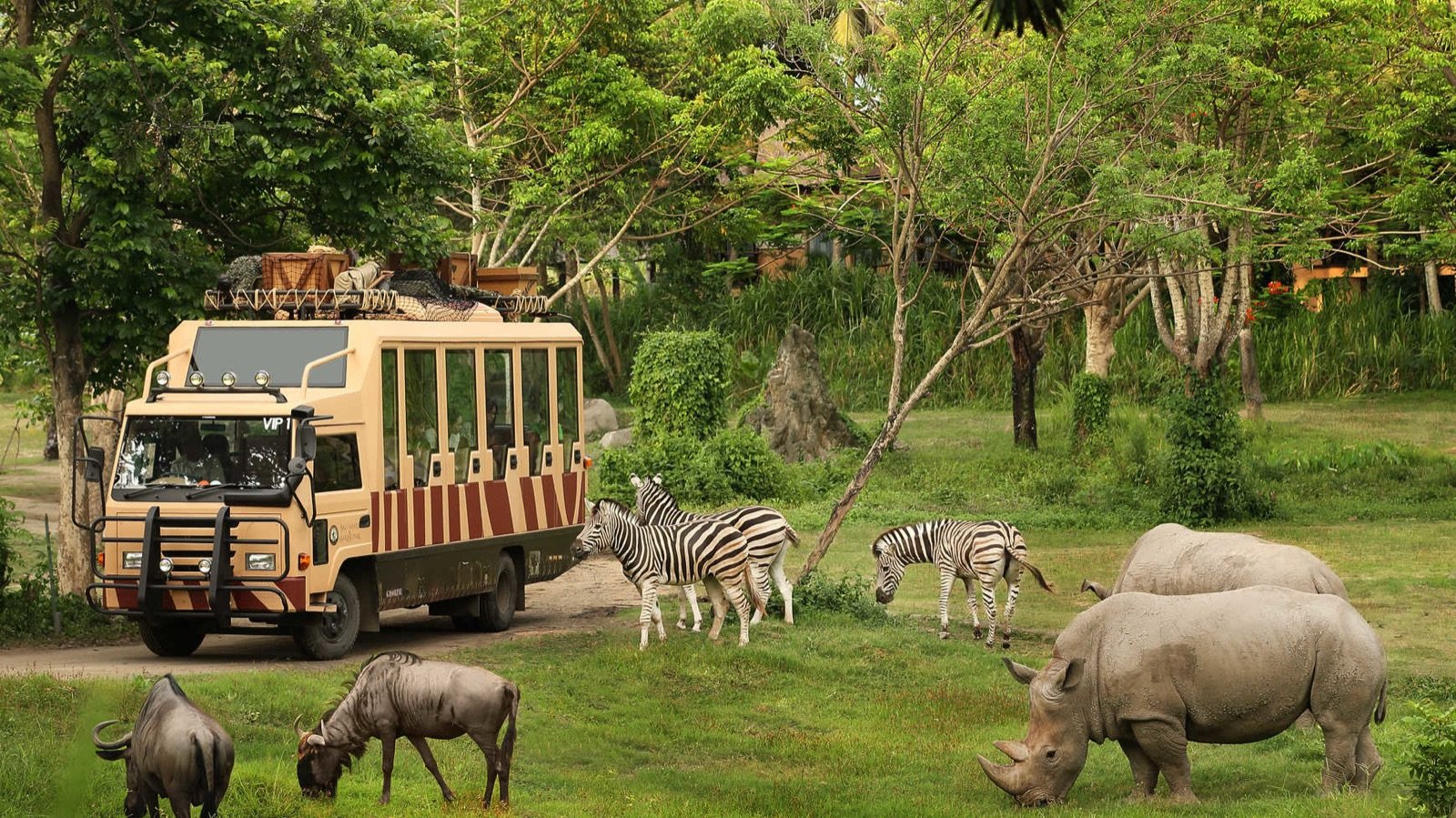Bali Safari Park tram passing animal habitats