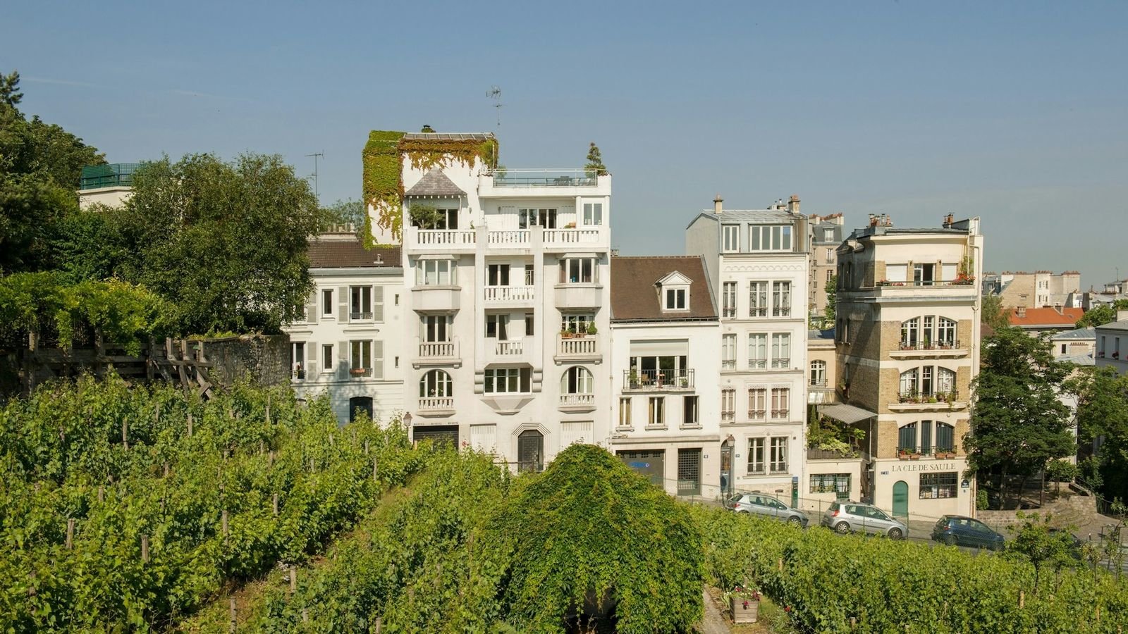 Museum gardens overlooking the Clos Montmartre vineyard