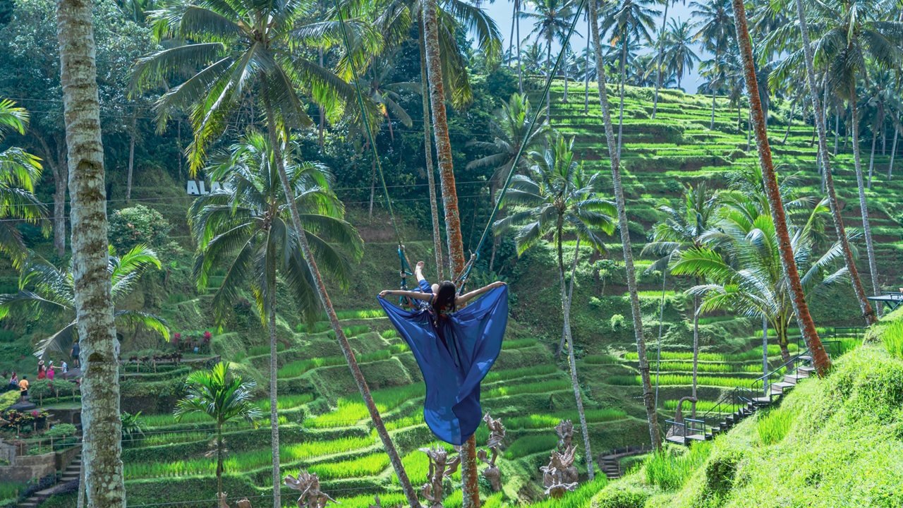 Alas Harum Bali: Swing, Skybike, and Zipline