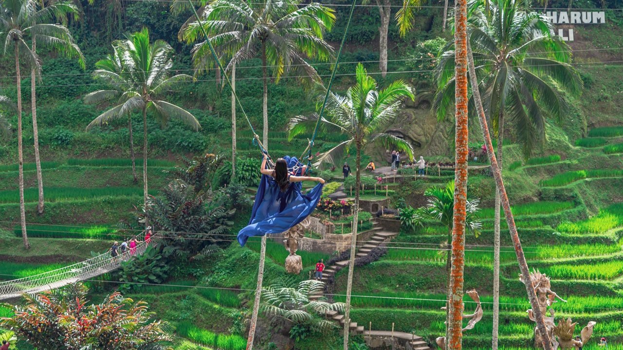 Alas Harum Bali: Swing, Skybike, and Zipline