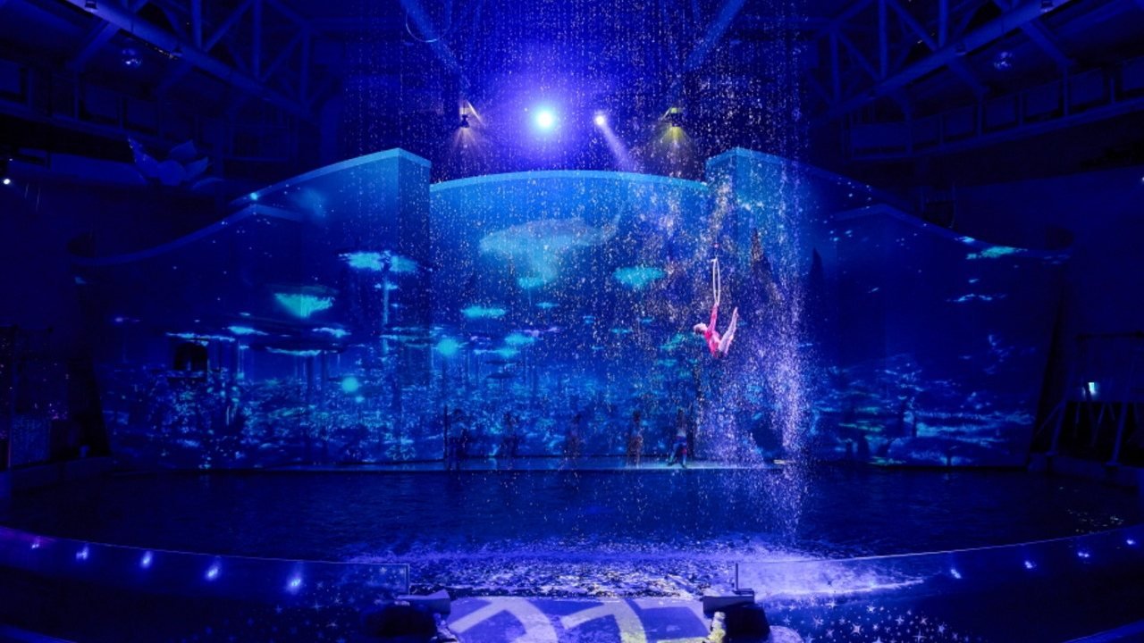 Aqua Planet Jeju Aquarium Ticket