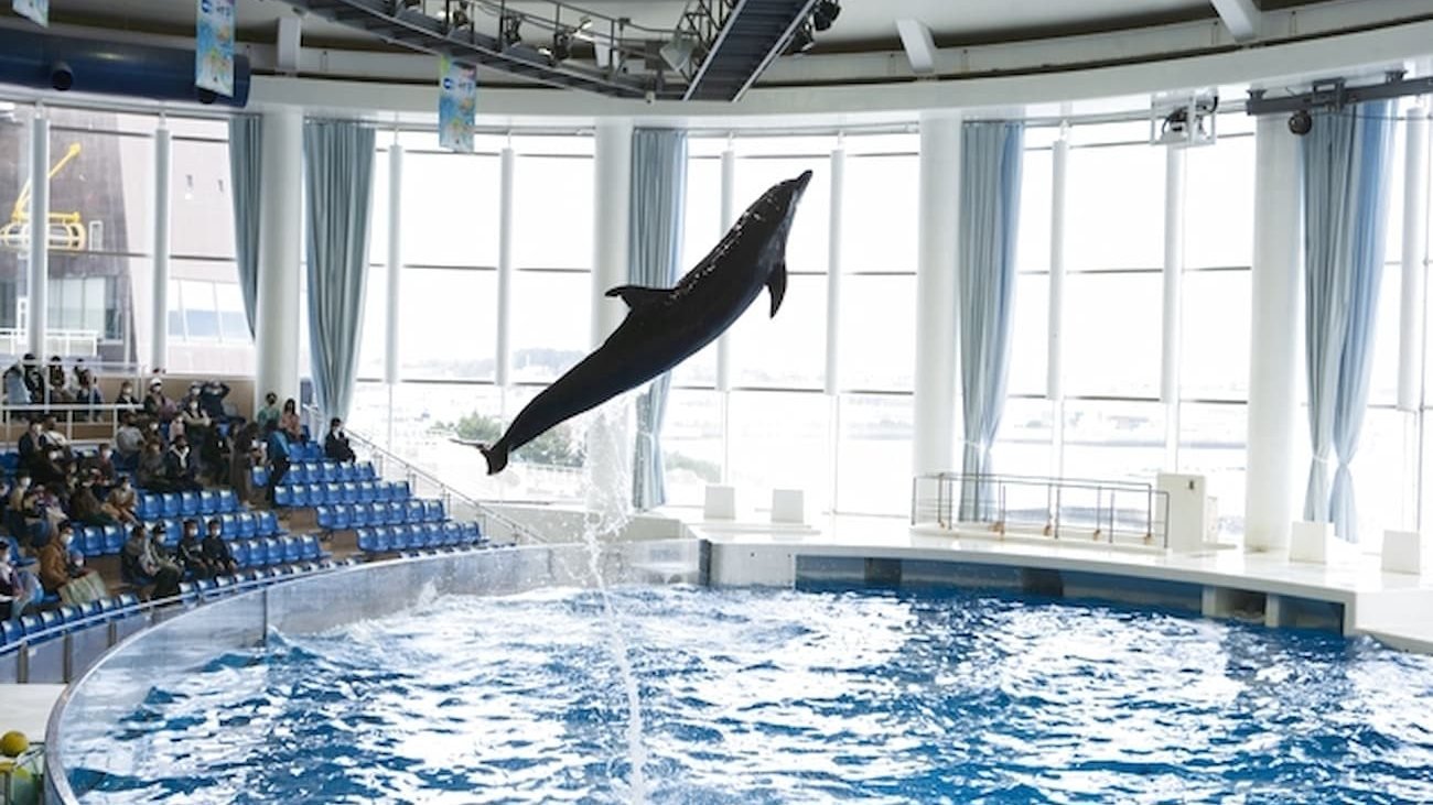 Aqua World Ibaraki Prefectural Oarai Aquarium Ticket