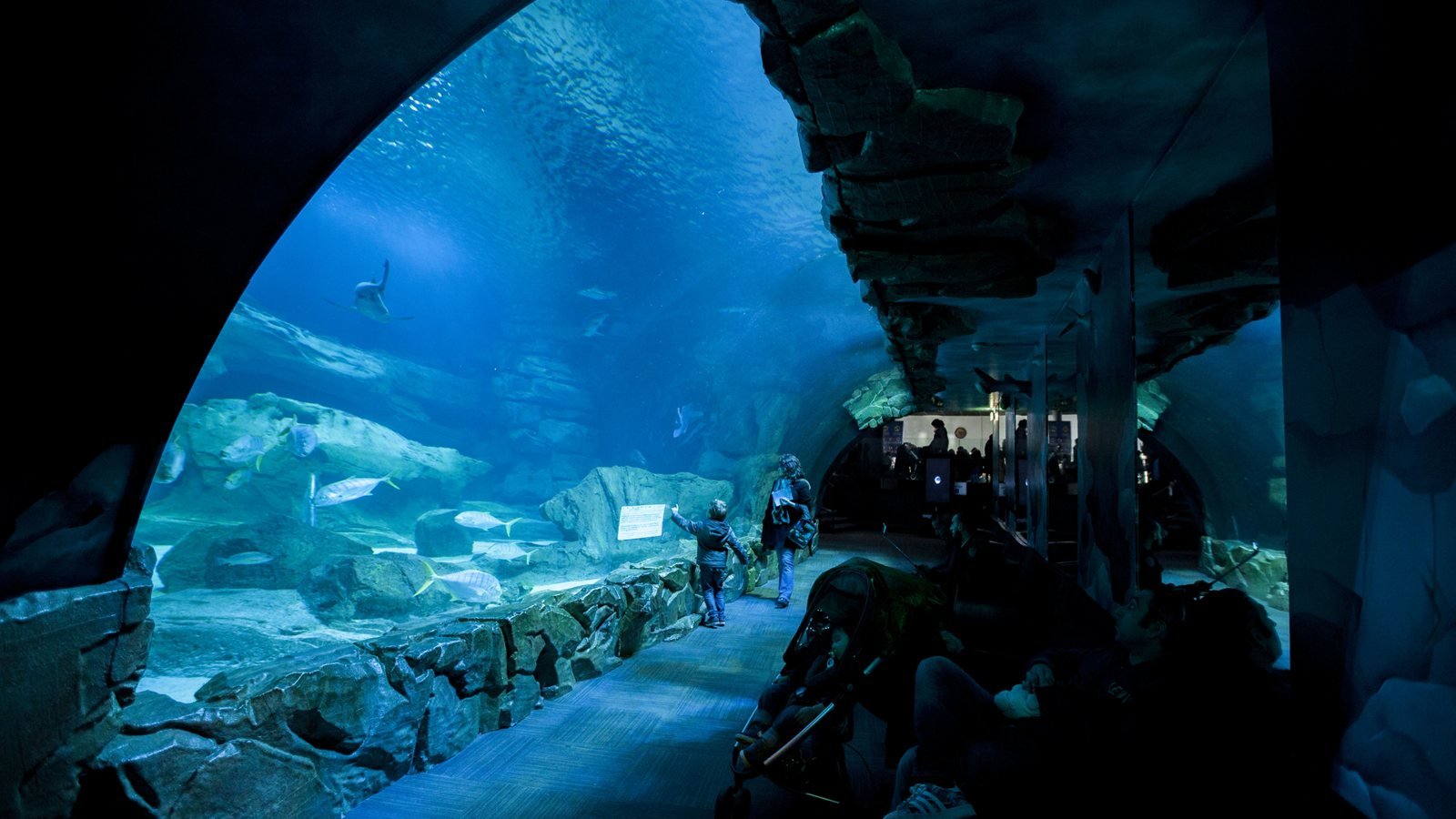 Aquarium de Paris