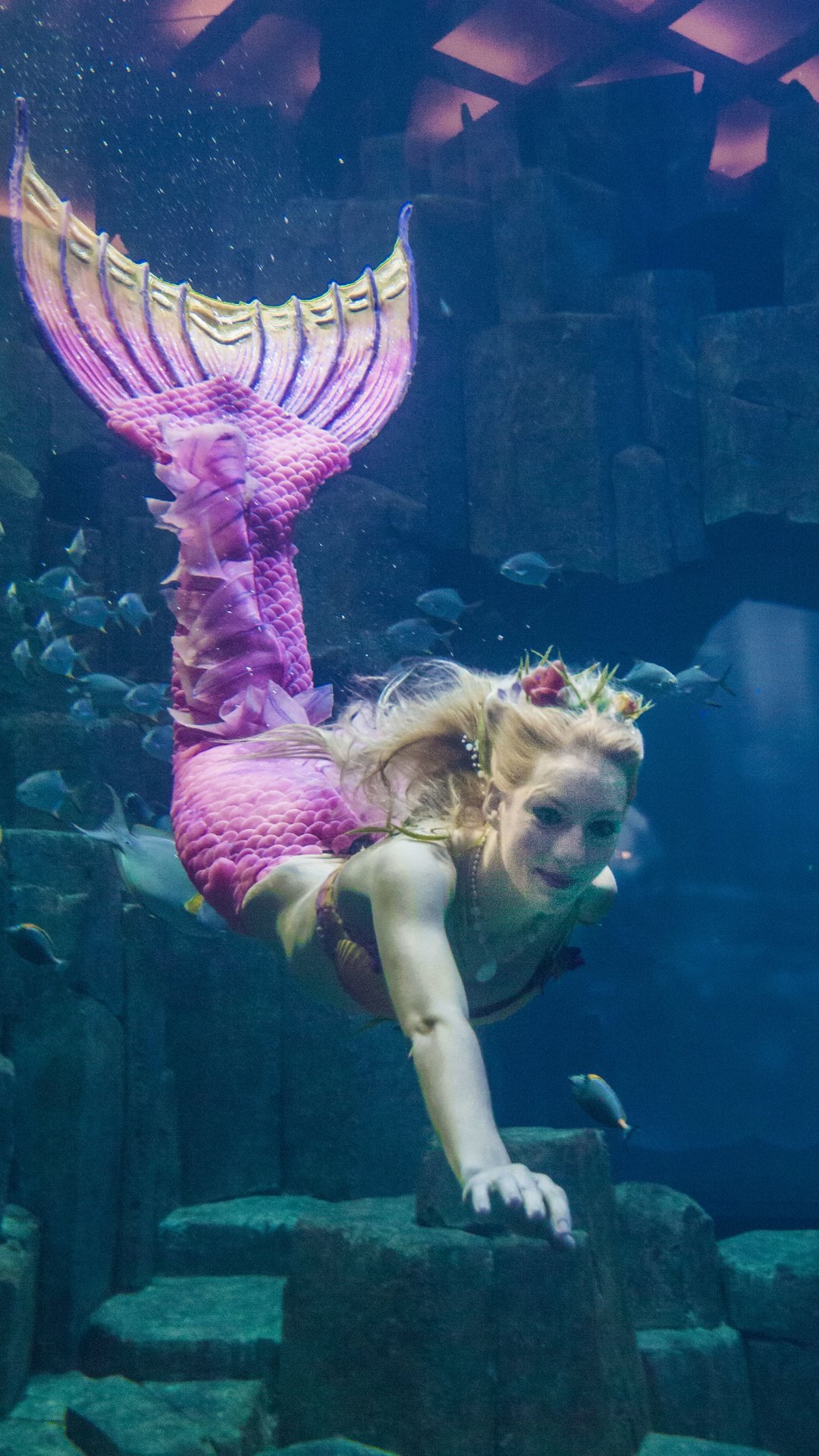 Aquarium de Paris