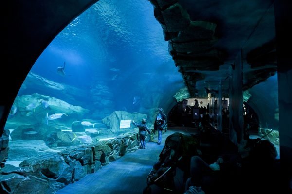 Aquarium de Paris Tickets | Book Online