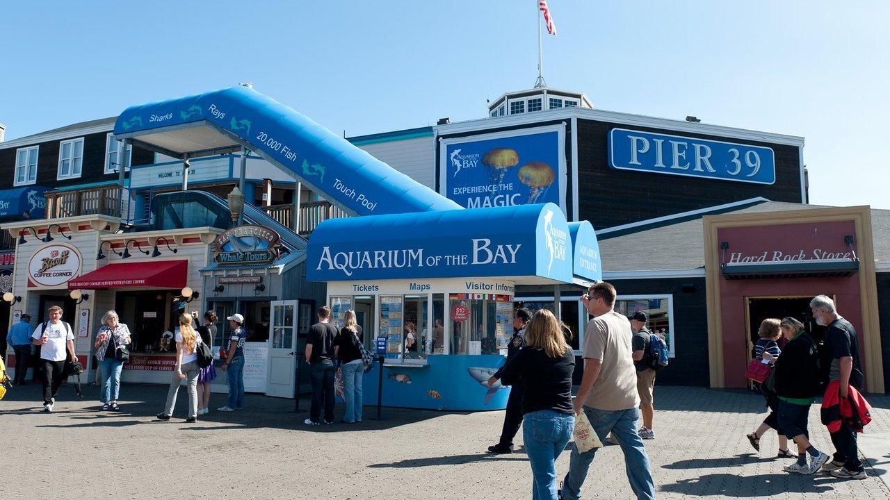 Aquarium of the Bay Ticket