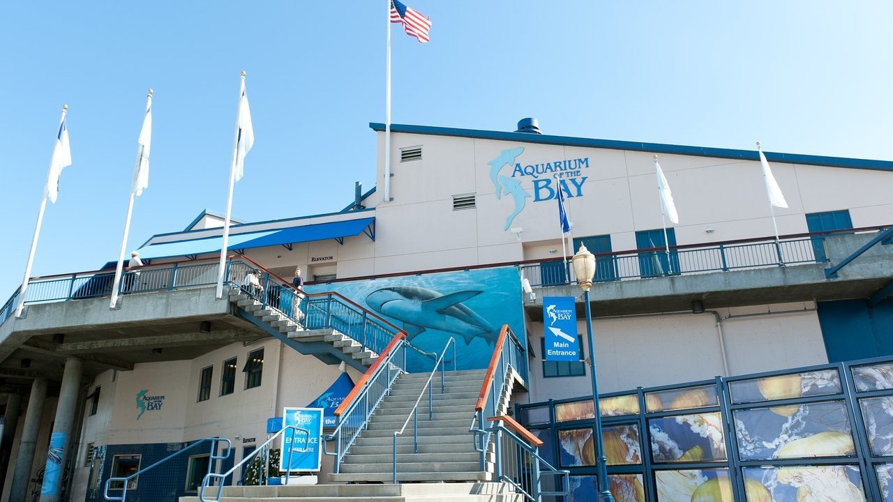 Aquarium of the Bay Ticket