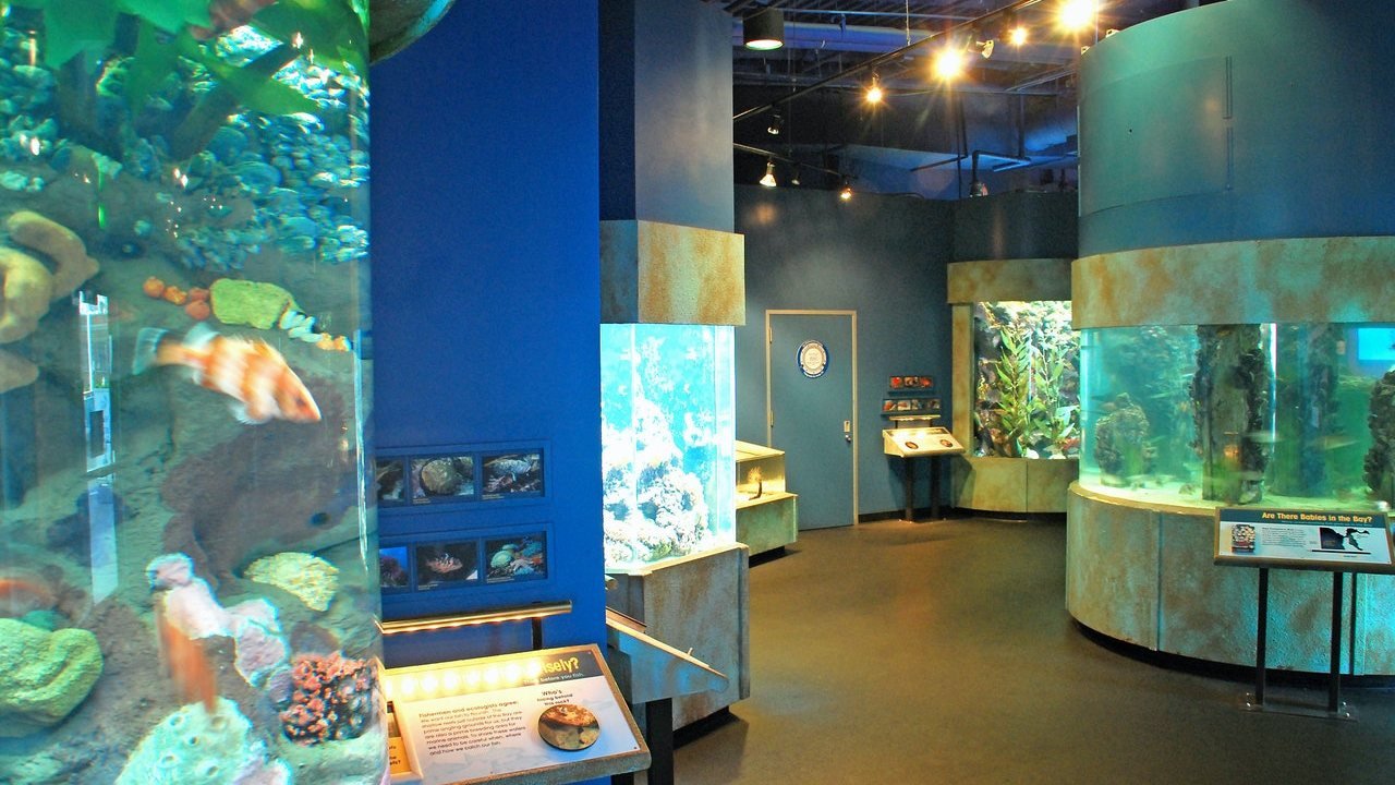 Aquarium of the Bay Ticket