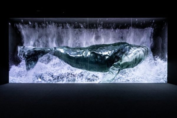 Arte Museum Las Vegas Ticket | Book Online