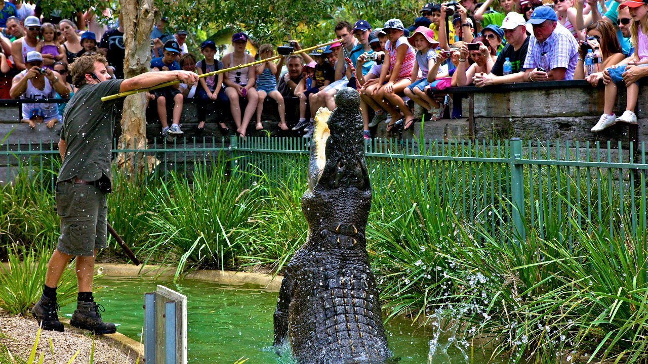 Australian Reptile Park