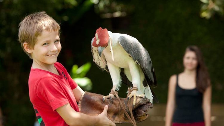Bali Bird Park Ticket