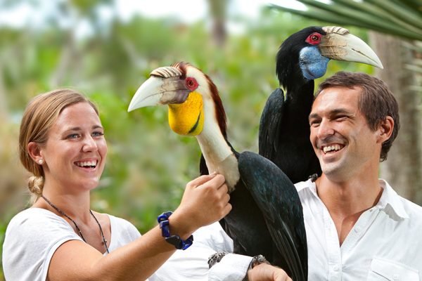 Bali Bird Park Ticket | Book Online