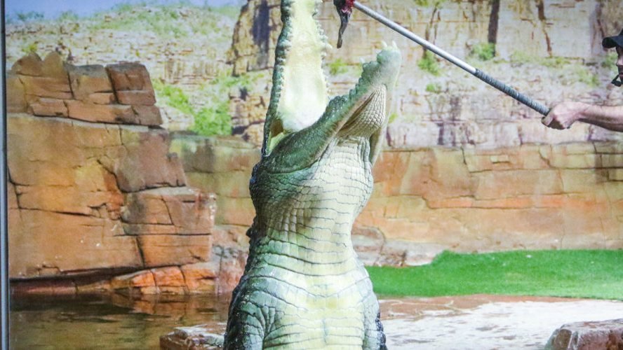 Ballarat Wildlife Park Tickets