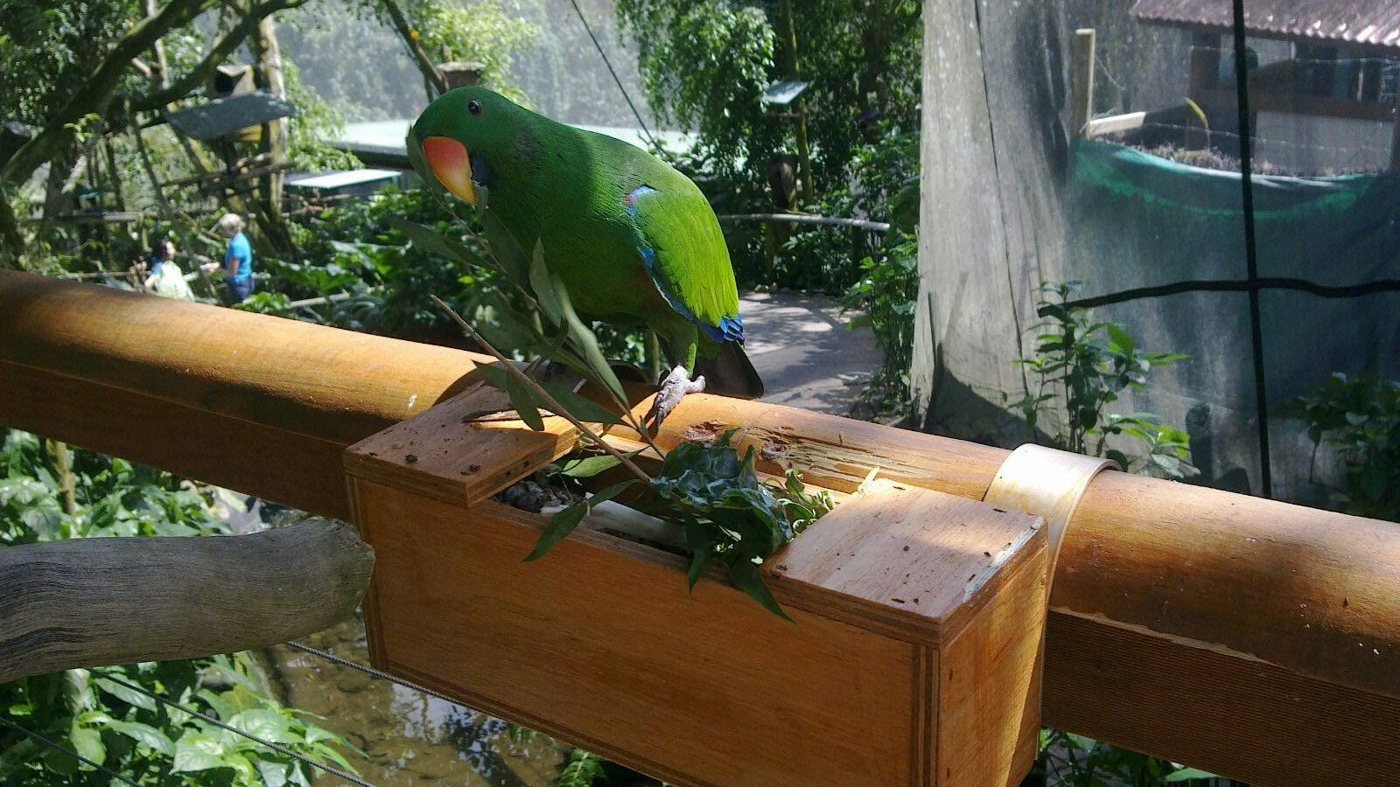 Birdworld Kuranda