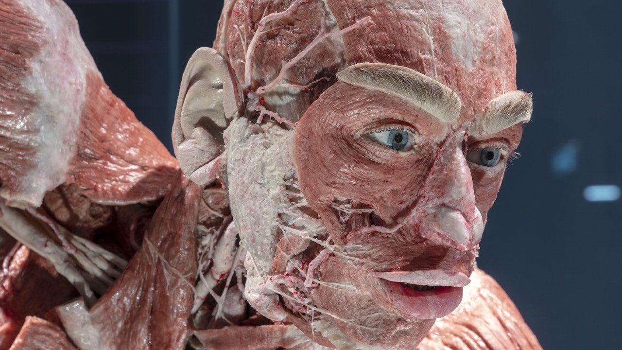 BODY WORLDS Berlin