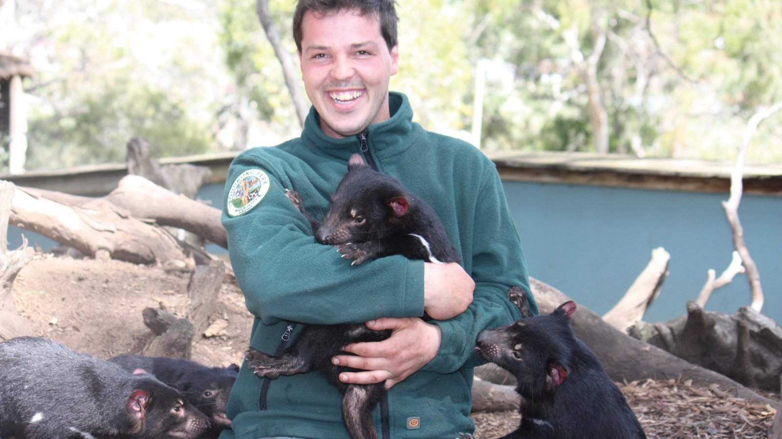 Bonorong Wildlife Sanctuary and Hobart City Tour