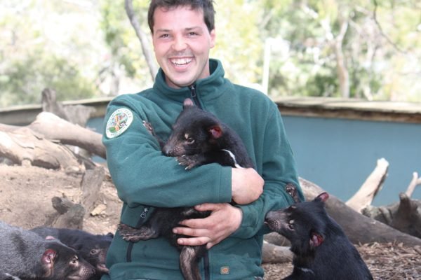 Bonorong Wildlife Sanctuary and Hobart City Tour Brighton Tickets | B