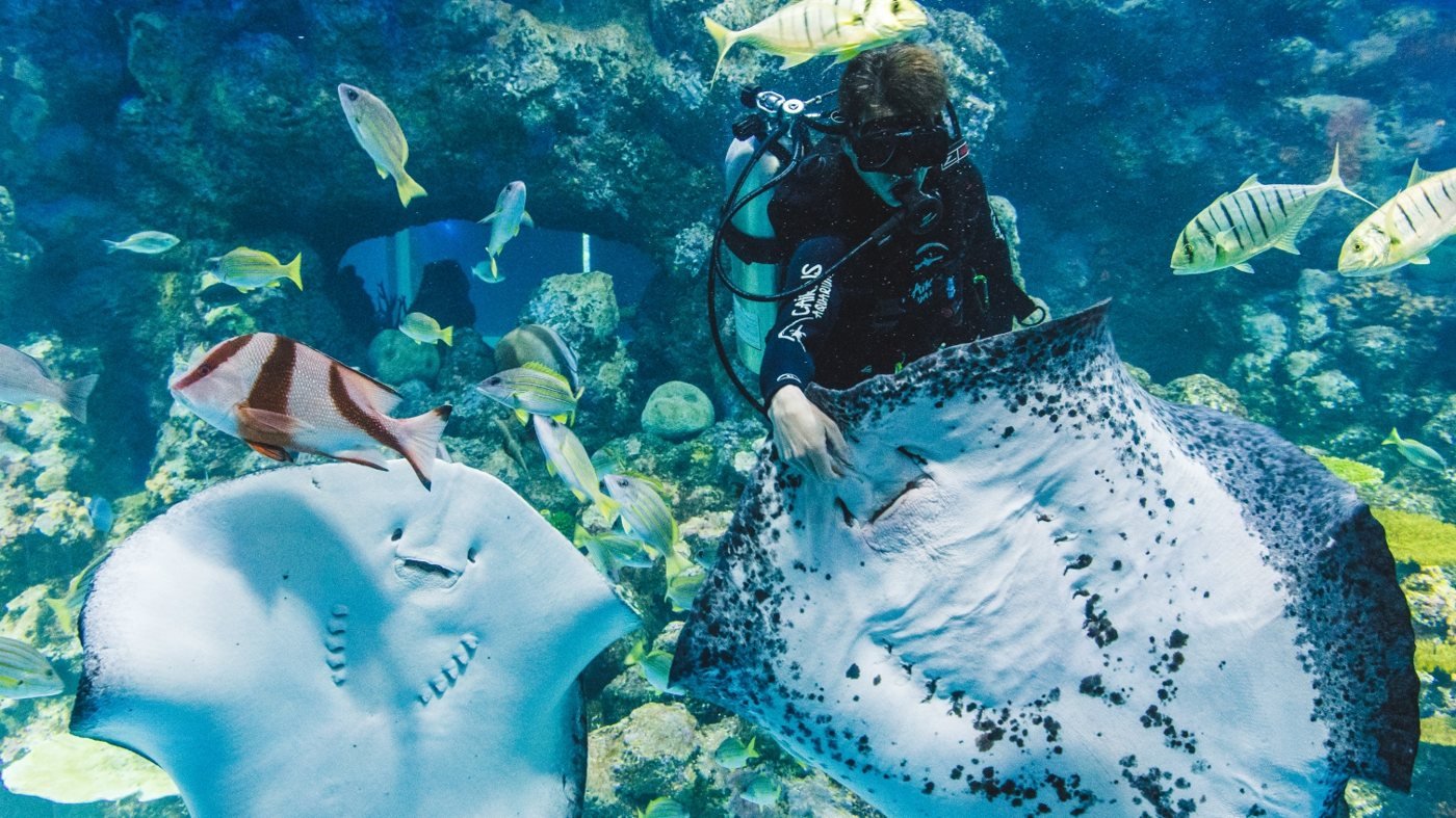 Cairns Aquarium Ticket