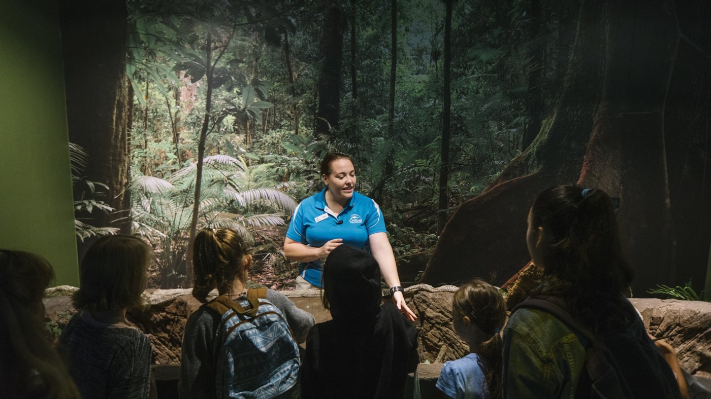 Cairns Aquarium Ticket