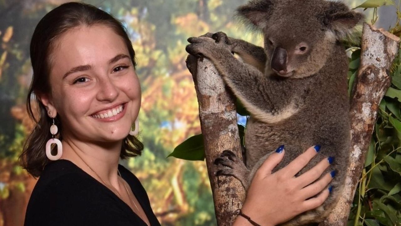 Cairns Koalas and Creatures at the Pier Ticket
