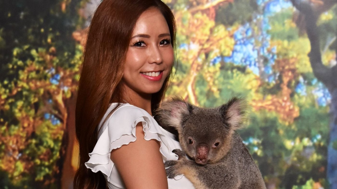 Cairns Koalas and Creatures at the Pier Ticket