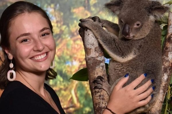 Cairns Koalas & Creatures Cairns City Tickets | Book Online