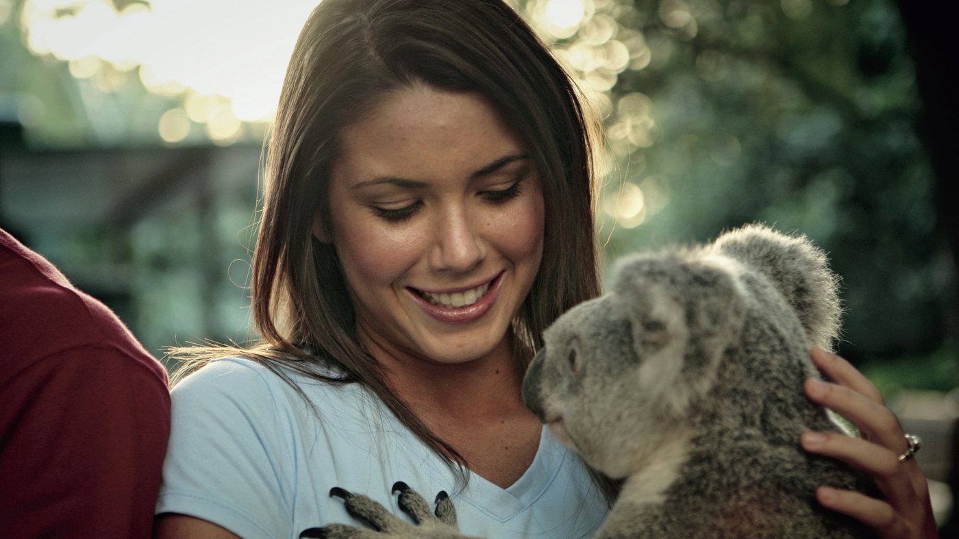 Currumbin Wildlife Sanctuary Gold Coast Ticket