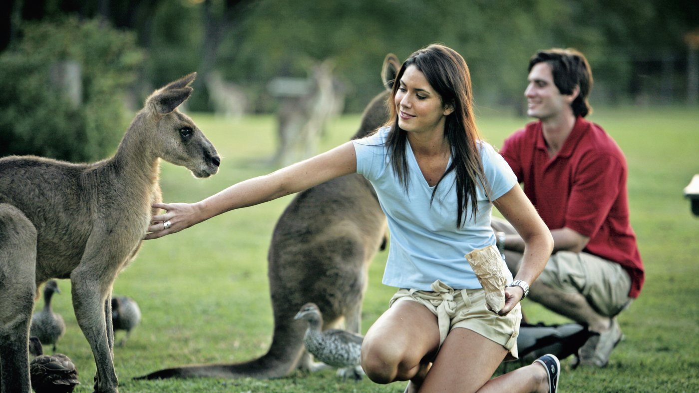 Currumbin Wildlife Sanctuary Gold Coast Ticket