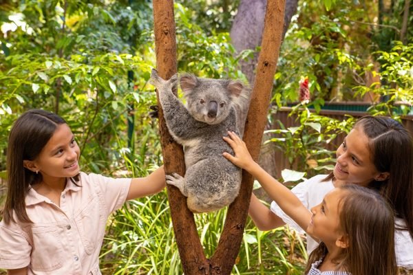 Currumbin Wildlife Sanctuary Gold Coast Ticket | Book Online