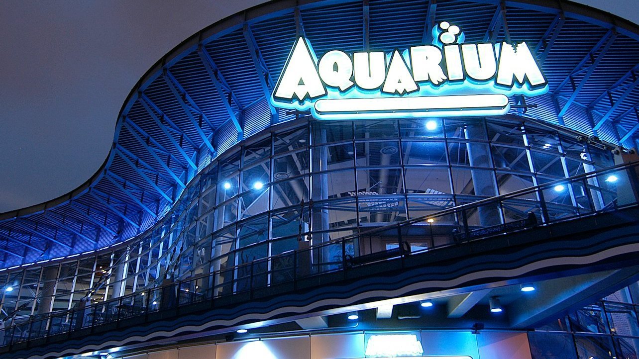 Downtown Aquarium Denver Ticket