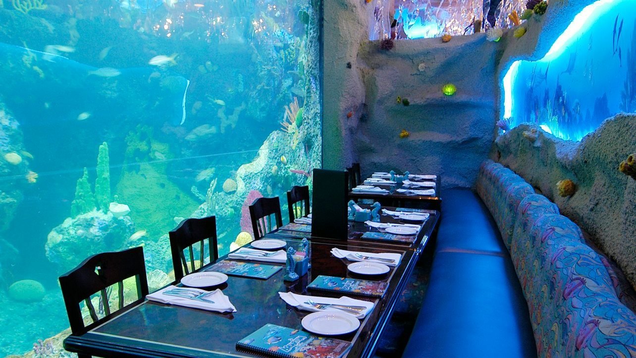 Downtown Aquarium Denver Ticket