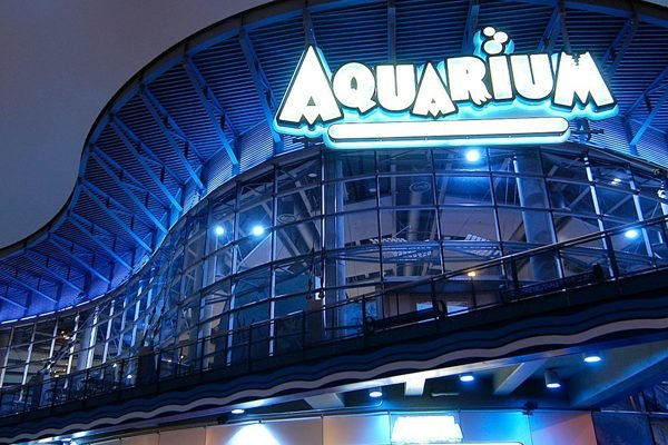 Downtown Aquarium Denver Ticket | Book Online