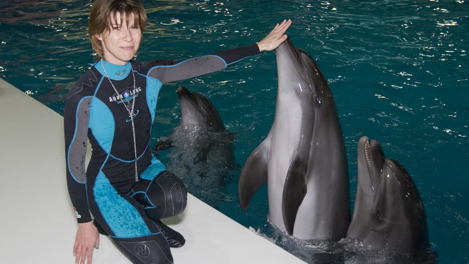 Dubai Dolphinarium Tickets