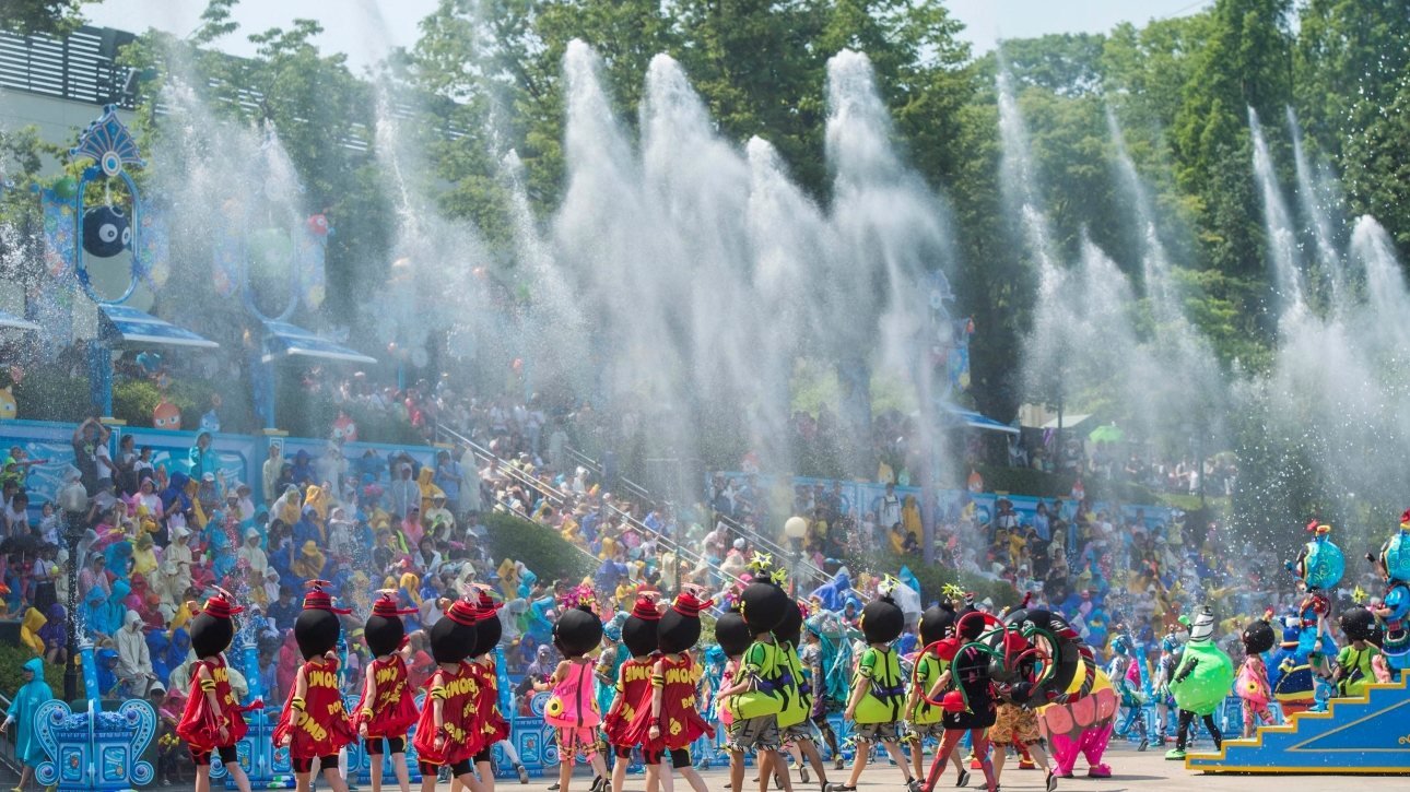 Everland Theme Park Ticket