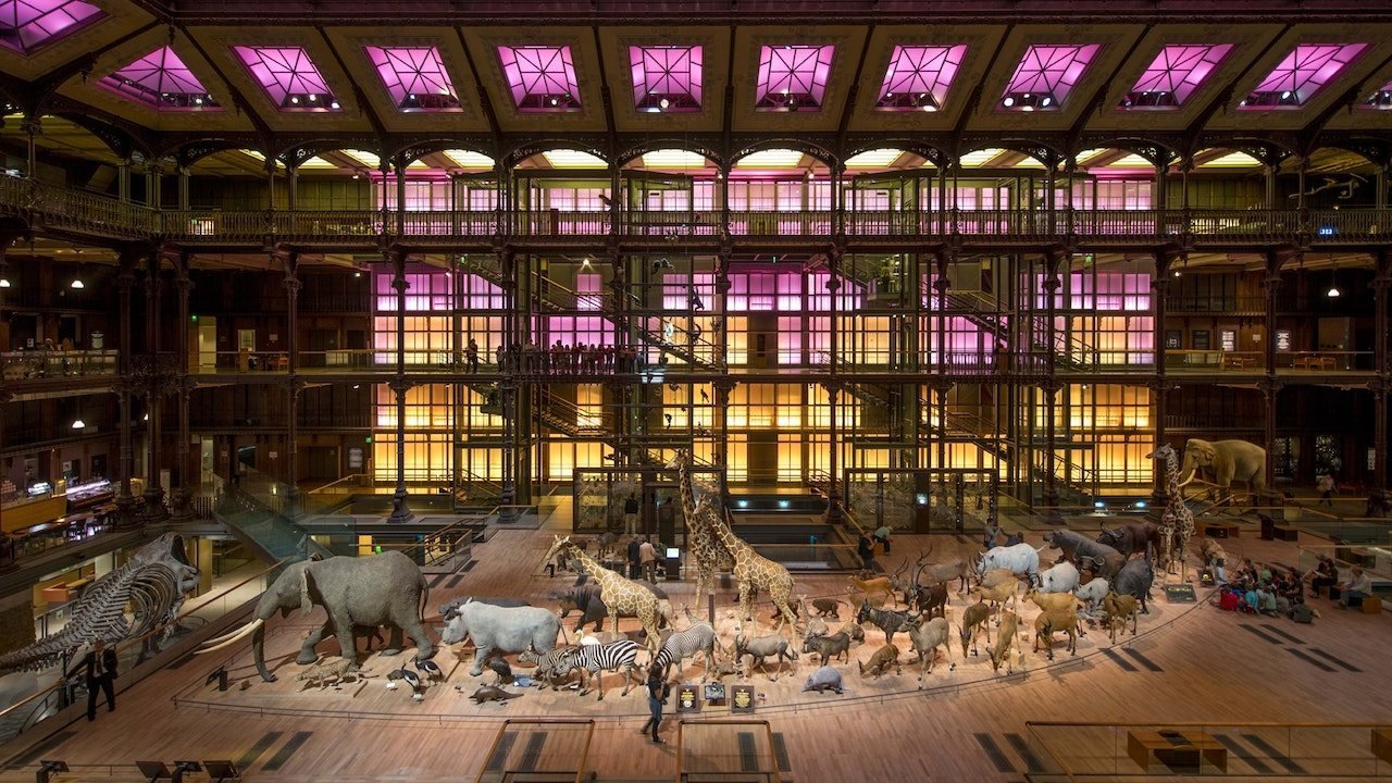 Grande Galerie de l'Évolution: Skip The Line