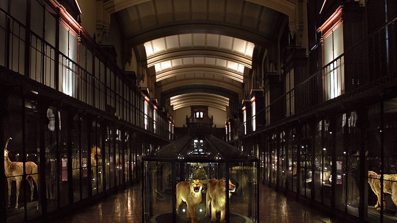 Grande Galerie de l'Évolution: Skip The Line
