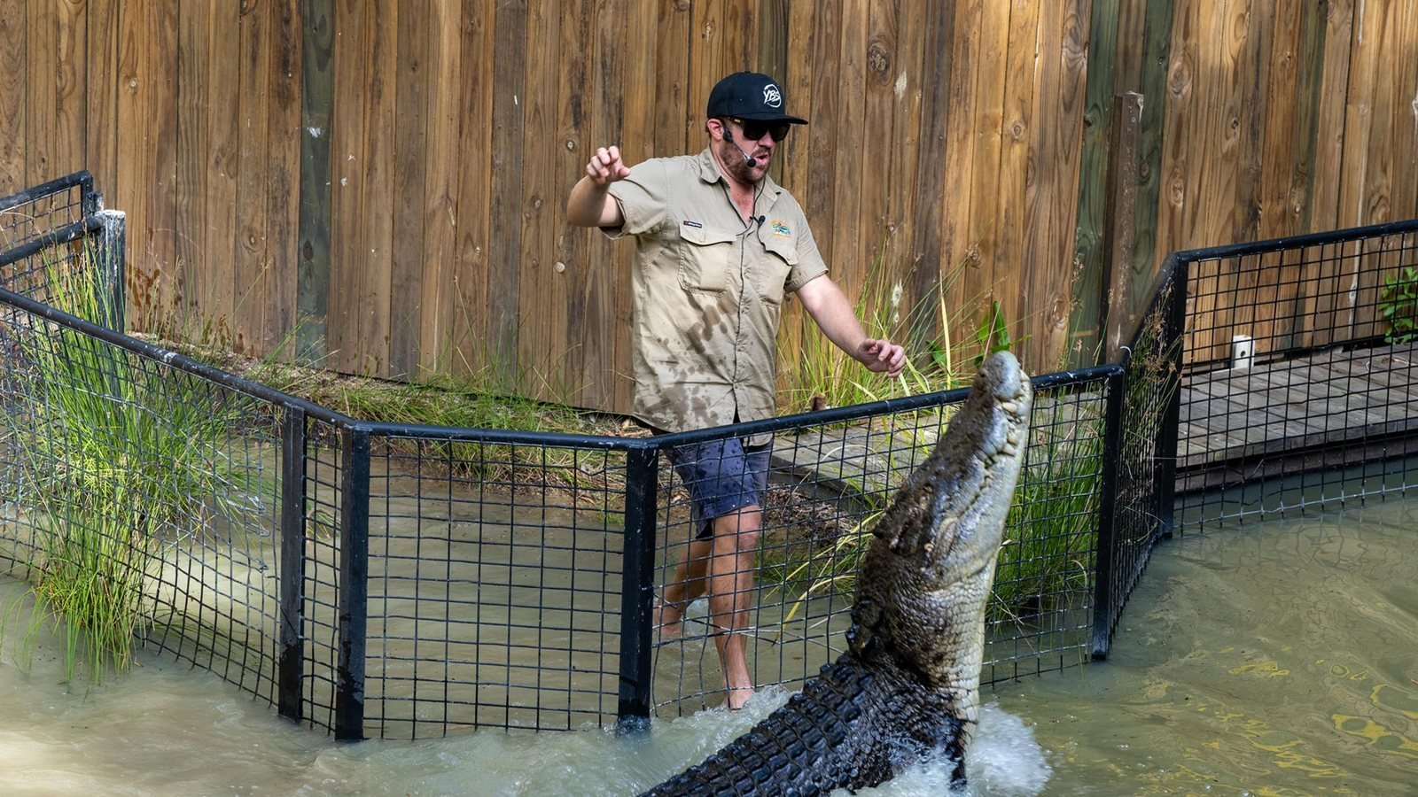 Hartley's Crocodile Adventures