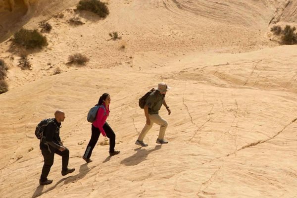Valley of Fire State Park Moapa Valley Tickets | Book Online